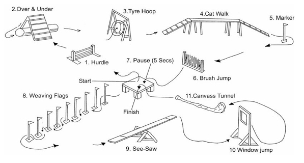 The first agility course